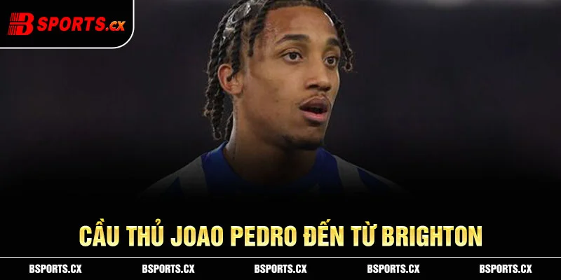 Cầu thủ Joao Pedro đến từ Brighton